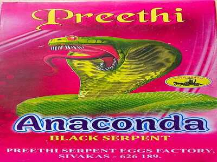 Snake Serpent egg (anakonda)