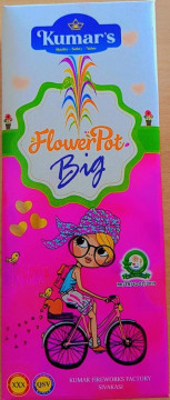 Flower Pots Big