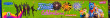 240 Multi Color Shots