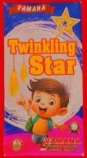 1.5' Twinkling Star
